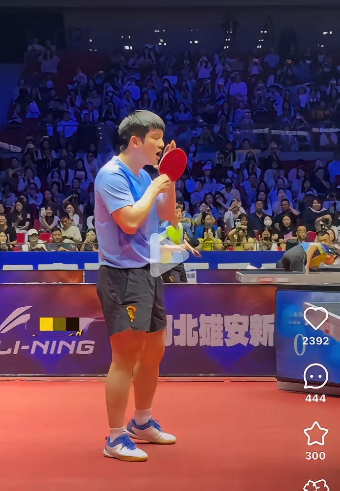 奥地利队翻盘韩国队,樊振东点燃赛场 奥地利队翻盘韩国队,樊振东点燃赛场