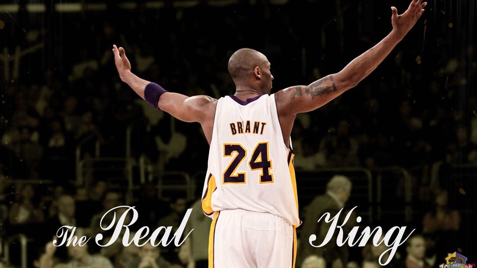 浓眉攻防转换定乾坤,尼克斯爵士之战揭示现代篮球终极答案